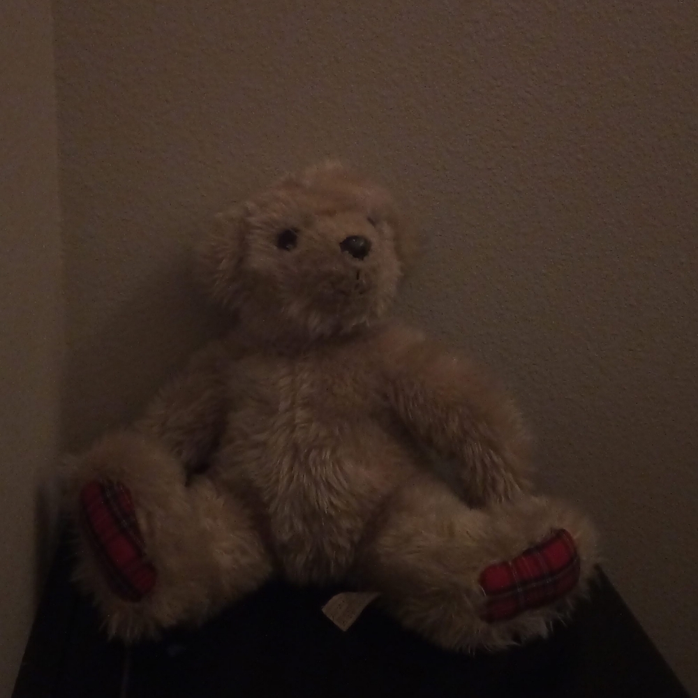 Teddy bear